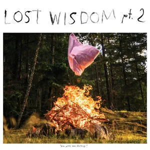 Lost wisdom : pt. 2